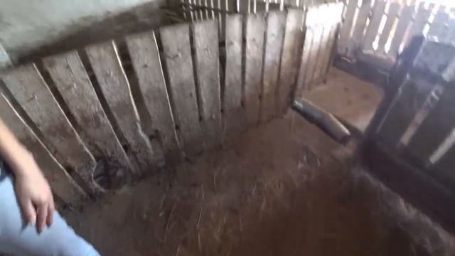 Смотрим фазенду на продажу