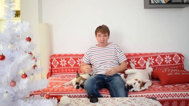 Чем накормить собаку - Француз и Англичанин - Эпизод 4