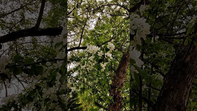 Обожаю фотографировать и снимать природу