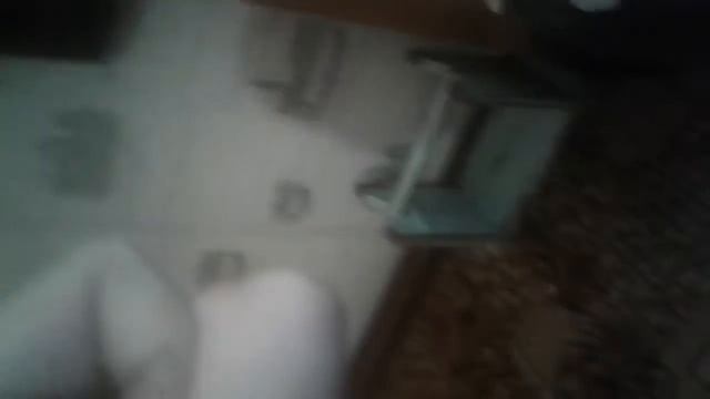кот кусает
