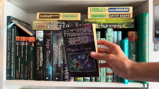 МОИ КНИЖНЫЕ ПОЛКИ ПО ЦВЕТАМ 2023