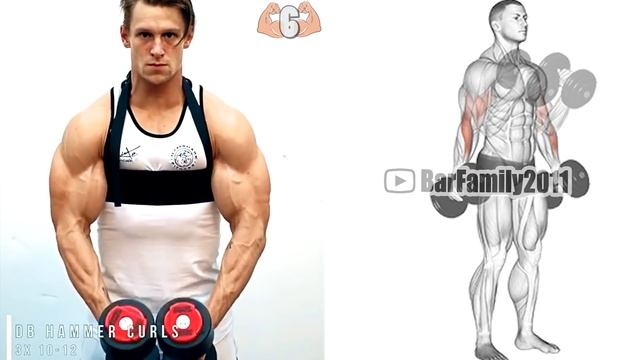 Massive Arm Workout | TOP-10 Exercises for Biceps Triceps