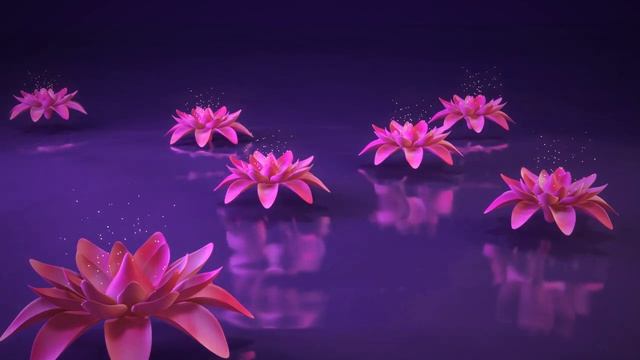 3D Lotus flower water reflection nature animated background video , Copyright FREE video
