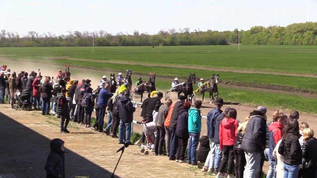 4й заезд. ПРИЗ «ИМЕНИ АЛТАЙСКОГО КОННОГО ЗАВОДА». 1 мая 2022 г. Дист. 1600 м. Чесменский ипподром