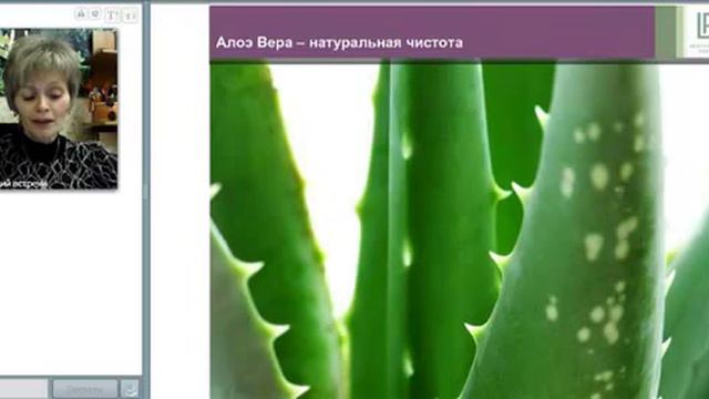 Галина Гордомысова Алое Вера Вебинар 21 мая 2013