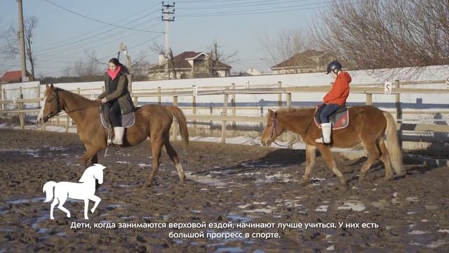 Советы от тренера школы верховой езды