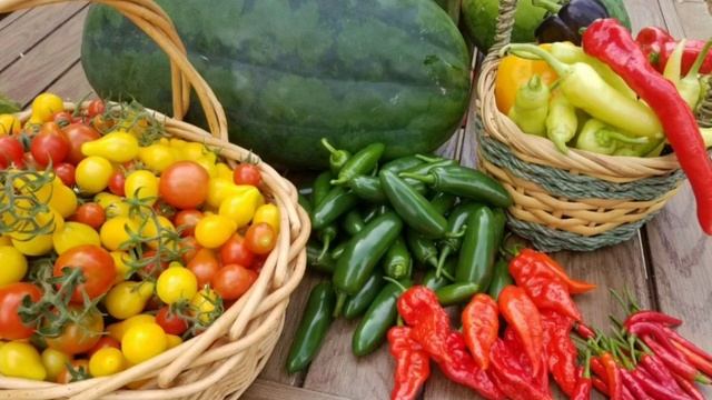 Господь, Ты так много для каждого сделал! Христианская песня