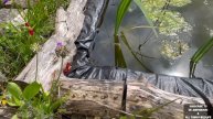 How To Build a Wildlife Pond - Here’s What Happend With The pond in May #ponds