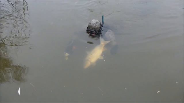 Двухдневная подводная охота в Астрахани подборка выстрелов