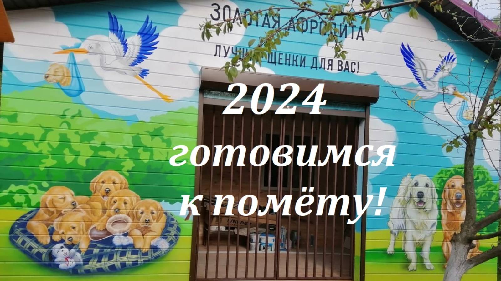 Готовимся к помету 2024