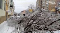 Последствия стихии 19 ноября 2020года Владивосток(After ice rain November 19, 2020 Vladivostok)