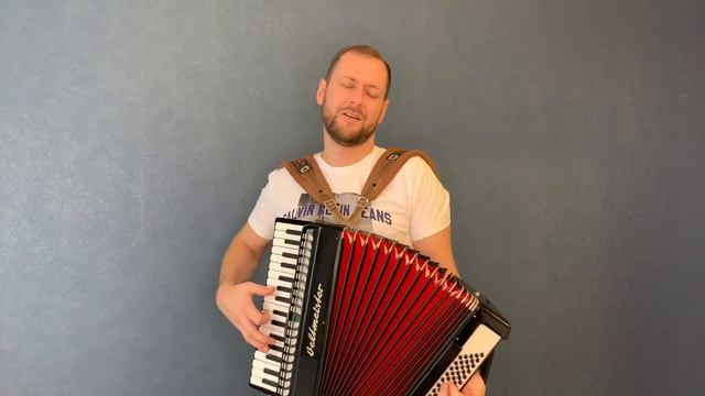 ВСЕХ с НОВЫМ ГОДОМ УРА!!!  Abba Happy New Year -  accordion Cover