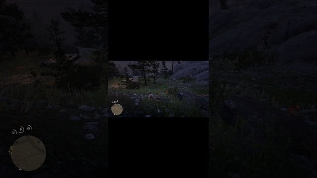 Red Dead Redemption 2 как тут ходить