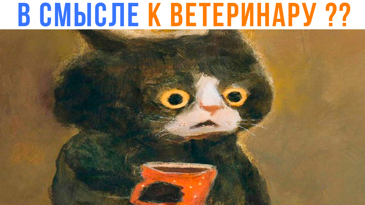 ЧОТА Я НЕ ПОНЕЛ ))) | Приколы с котами | Мемозг 1408