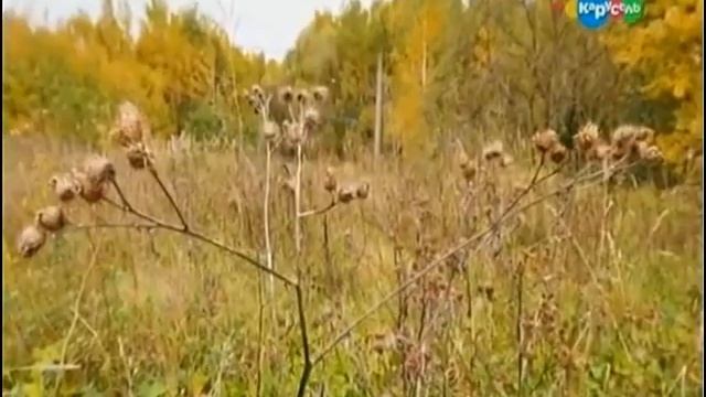 естествознание 4 класс 7 урок