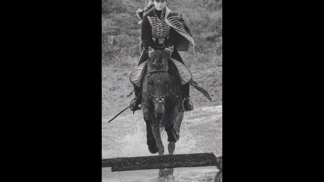Обучение, и выступление конюшне.