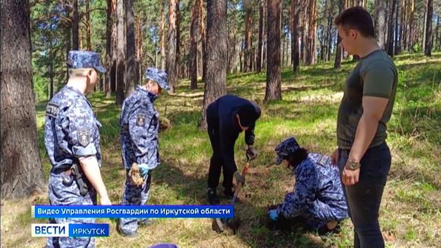 Саженцы сосны высадили в Кайской реликтовой роще в Иркутске сотрудники вневедомственной охраны Росгв