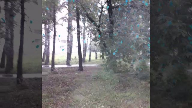 YouCut_20240809_091332779.mp4Барнаул, 9 августа.  Погода  хорошая!