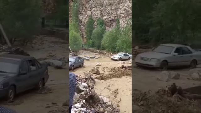 Без названия