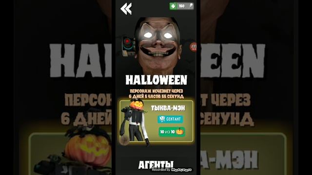купил тыква мена