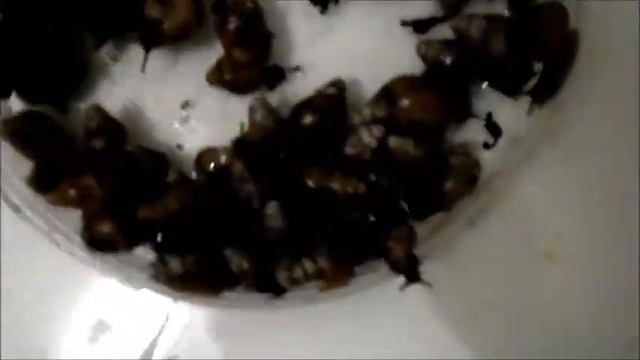 Водные процедуры