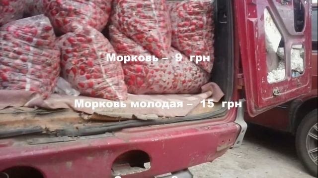 Цены на рынке Копани