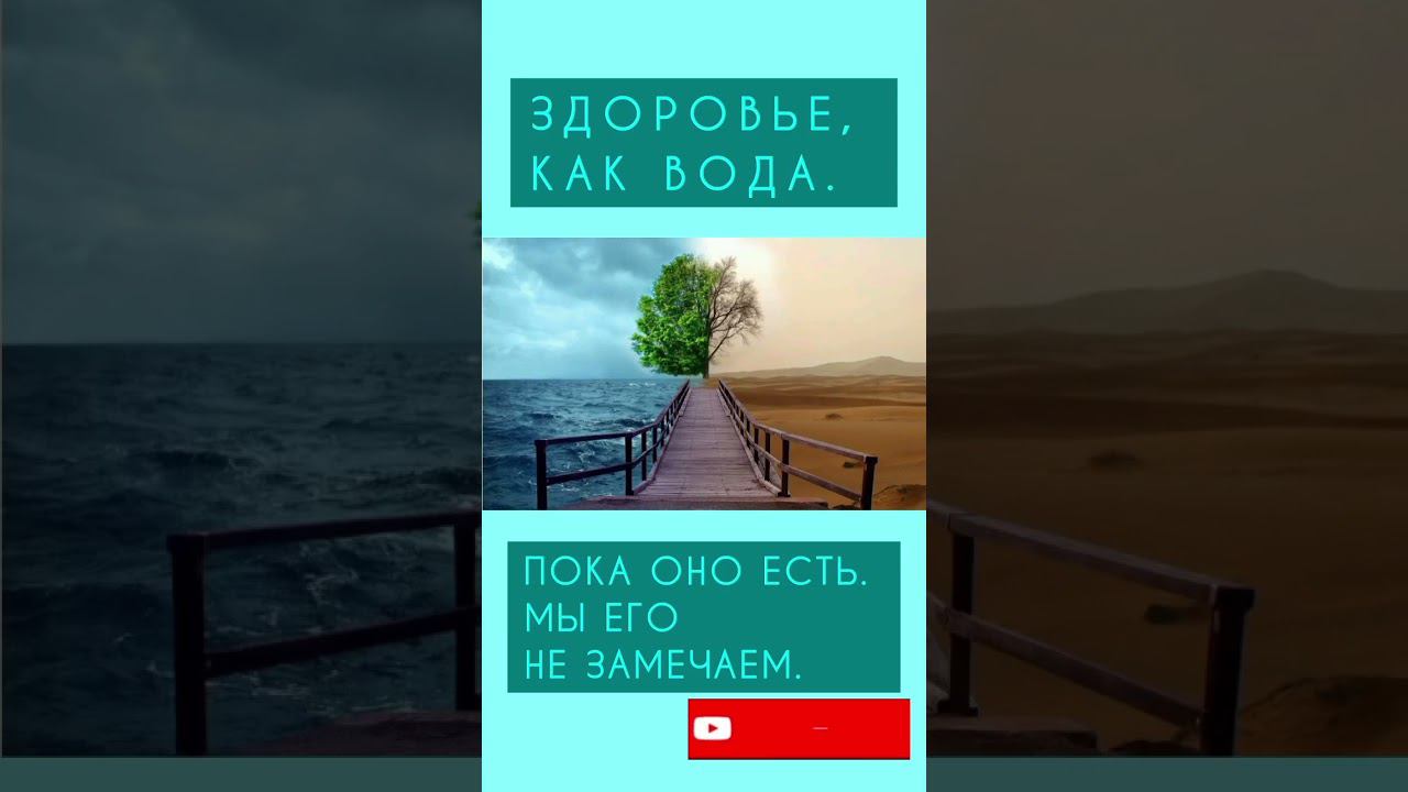 А от них зависит наша жизнь. #здоровоетело #жизньбезболи #буграирина#водаэтожизнь #вода