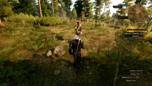 Прохождение The Witcher 3: Wild Hunt (Серия 3) [Мыслав, В поисках Крушины]