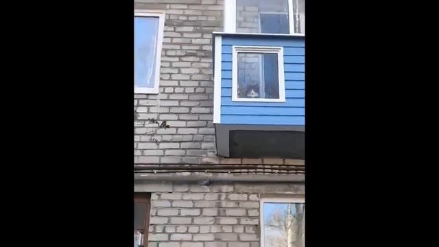 Смешные моменты из жизни животных.