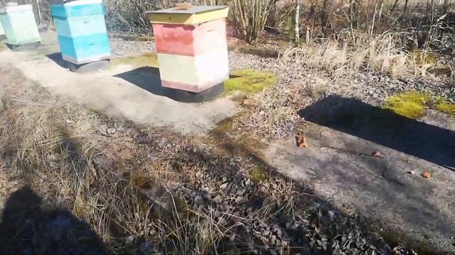 Расширение точка. Подготовка площадки.