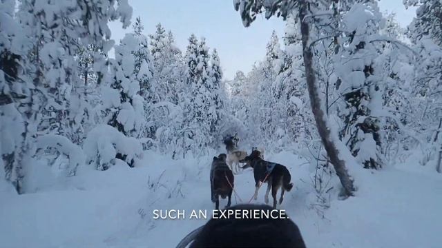 LAPLAND, ROVANIEMI, FINLAND | SANTA'S VILLAGE, SANTA'S PARK, DOGSLEDDING | FAMILY HOLIDAY