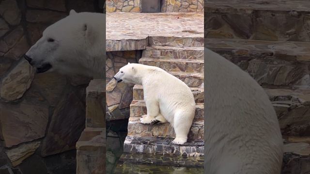 Ленинградский зоопарк