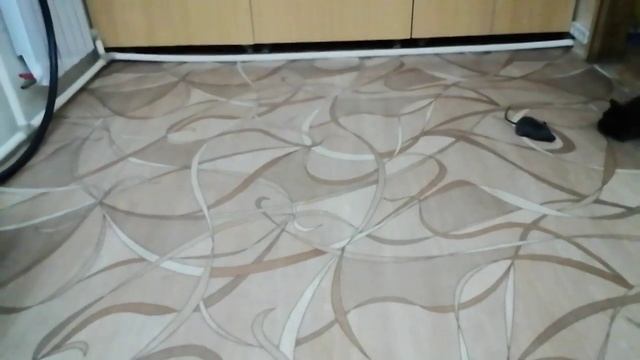 Подарок для кошки - МЫШКА С ПУЛЬТОМ С АЛИЭКСПРЕСС.
