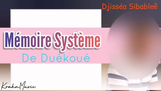MEMOIRE SYSTEME DE DUEKOUE (Zaon Wonya)