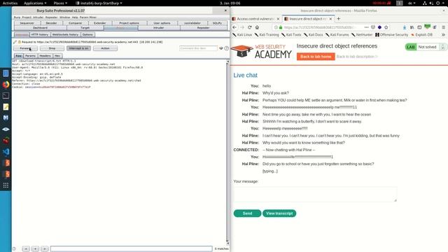 Insecure direct object references (Video solution)