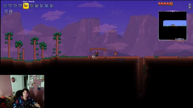 Terraria: Forest Guide House