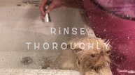 Mellie Takes a Bath - How to Groom a Persian Cat - Part Two: BathTime