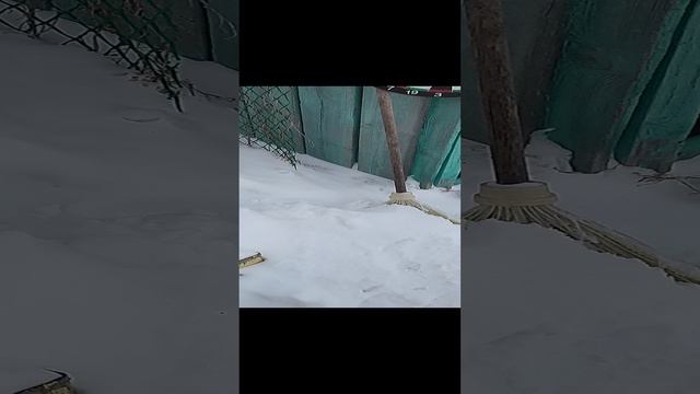 ПРИКОЛ НА 23 ФЕВРАЛЯ 20240223