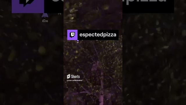 Сарямбо _ espectedpizza с помощью #Twitch