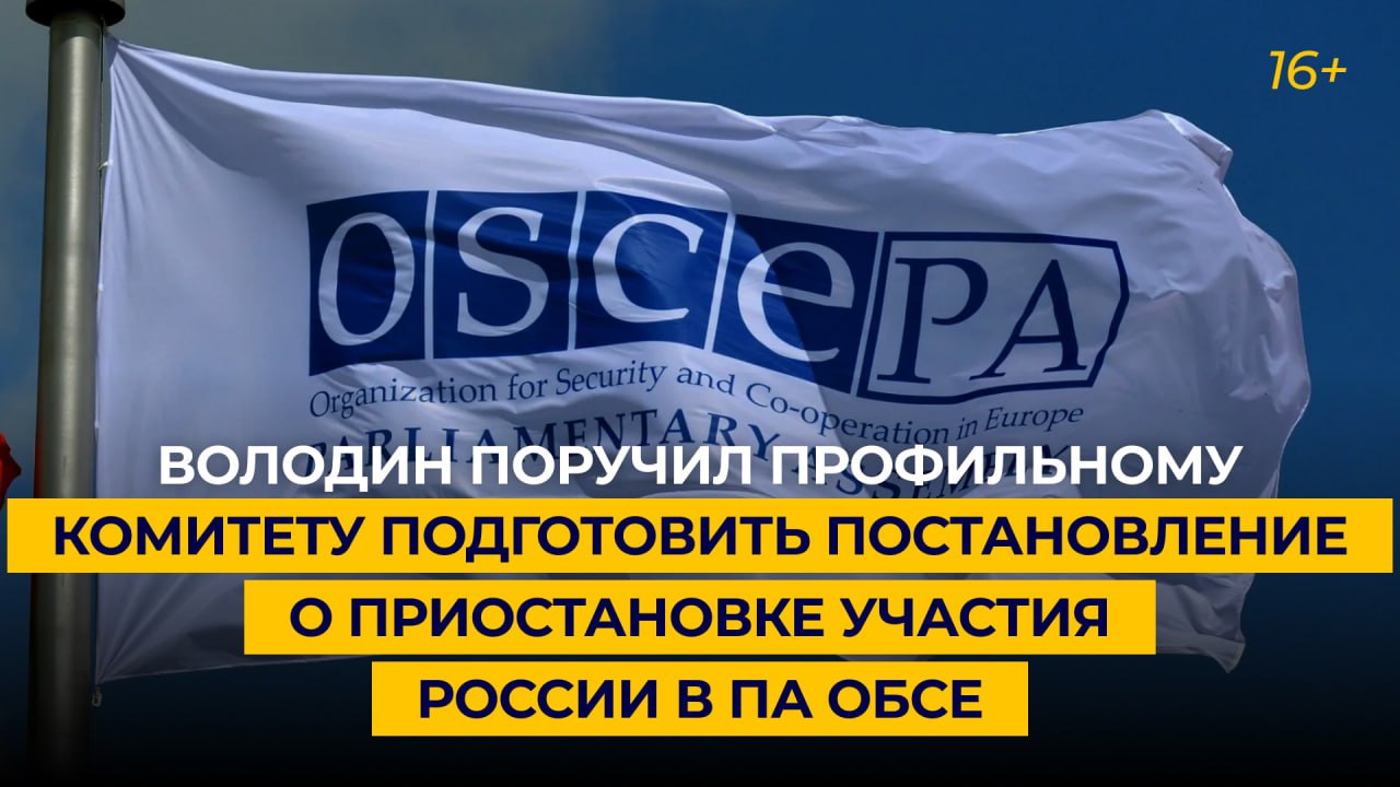 Володин поручил профильному комитету подготовить постановление о приостановке участия РФ в ПА ОБСЕ