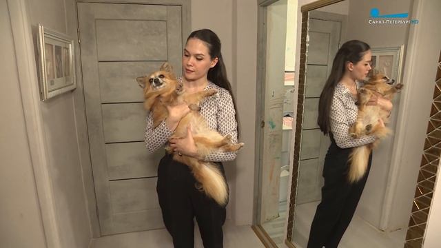 Как правильно мыть собаку?