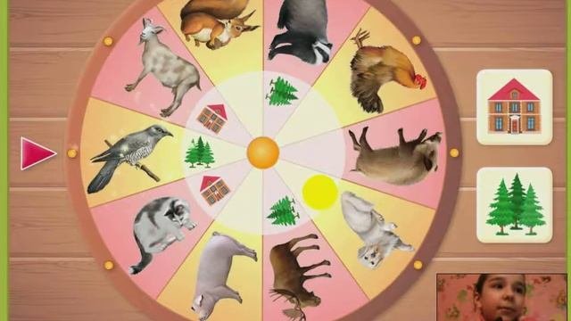 Изучаем диких и домашних животных (Детские обучающие видео)