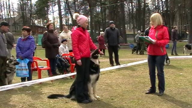 ПРК Викинг Блад