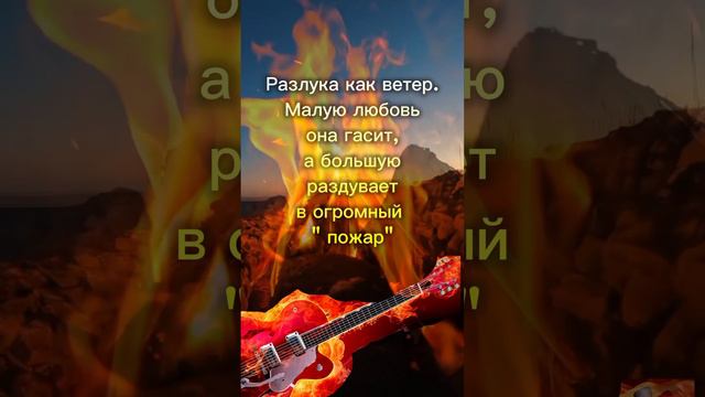 #цитатыпрожизнь