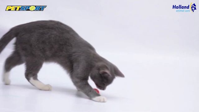 Petsport - Kitty Fun Balls