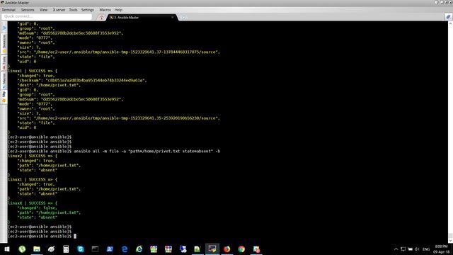 FDS-00003 | Ansible | 7 - Запуск Ad-Hoc Команд