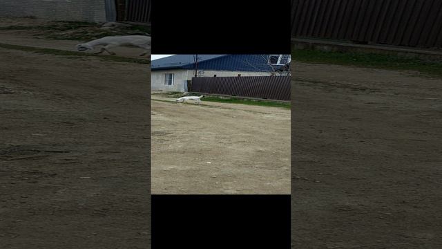 1000169363.mp4