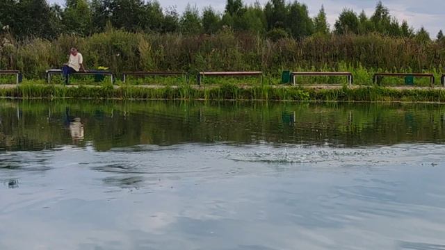 Форель радуется похолоданию)