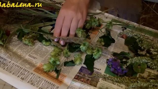 Сушим Траву для Терры
