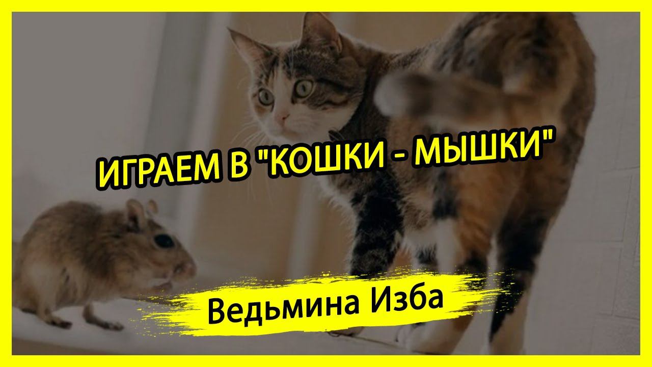 ИГРАЕМ В "КОШКИ - МЫШКИ". #ВЕДЬМИНАИЗБА ▶️ #МАГИЯ